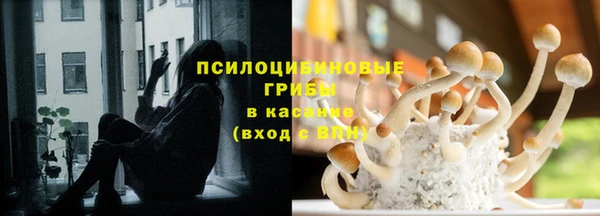 ПСИЛОЦИБИНОВЫЕ ГРИБЫ Балабаново