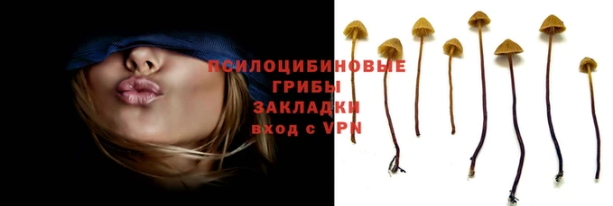 винт Балахна
