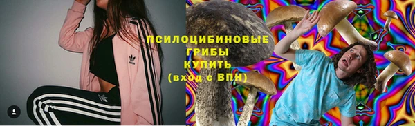 круглые Арсеньев